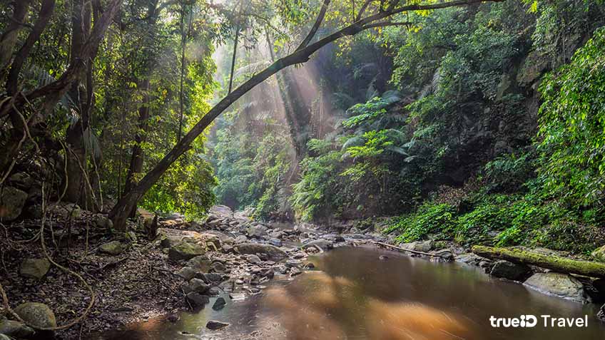 PALA-U WATERFALL น้ำตกป่าละอู: THE BEST AMAZING JUNGLE WATERFALL 3b3cbbe0 7a80 11ea a85e 972275699d5e original