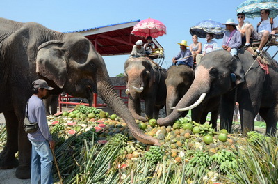 🐘 HASADIN ELEPHANT FOUNDATION มูลนิธิช้างหัสดิน: THE BEST ETHICAL ELEPHANT CARE & NATURE EXPERIENCE 556000003164501