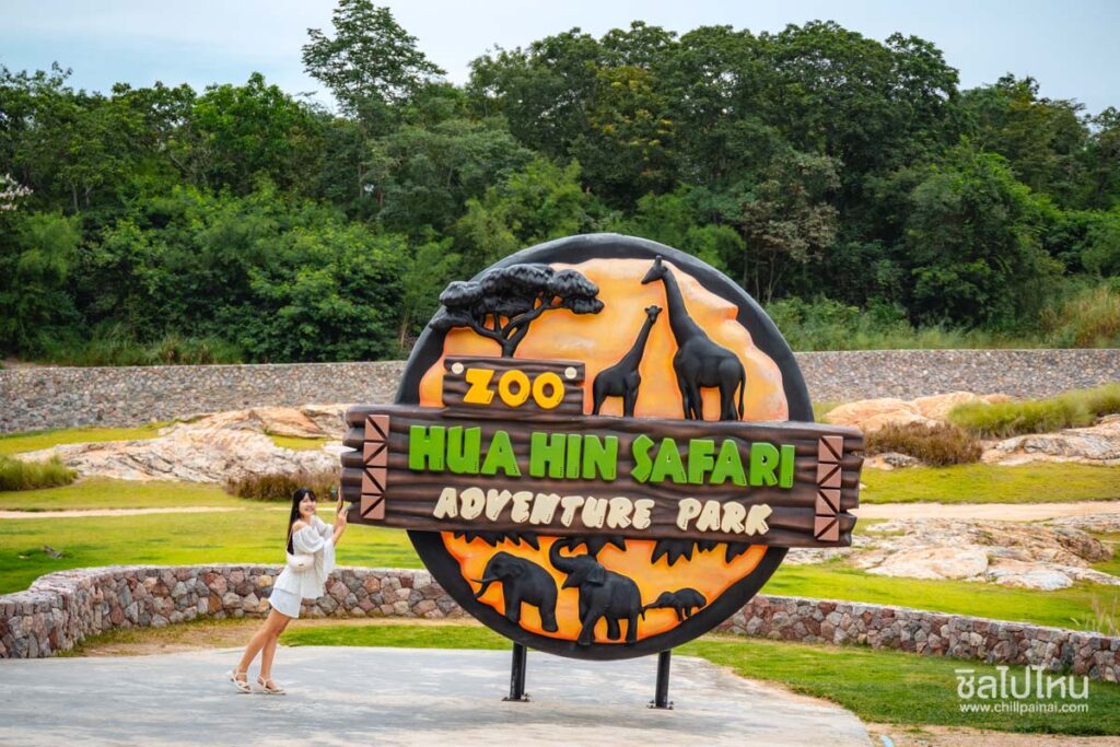 huahin safari 50