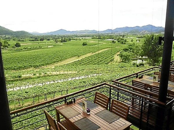 Hua Hin Hills Vineyard: Thailand’s Scenic Vineyard by the Sea huahinhillsvineyard10