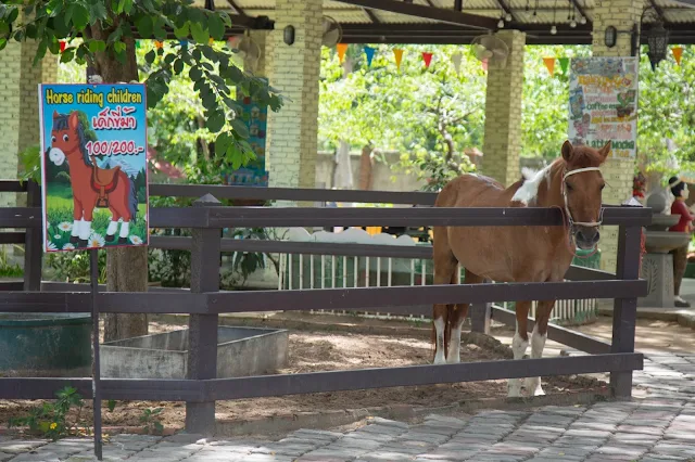 HUA HIN ZOO สวนสัตว์หัวหิน : FAMILY FRIENDLY ZOO & ANIMAL EXPERIENCE huahin fantasia ๒๐๐๘๒๔ 9